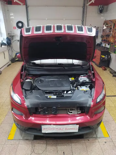 Auto Gaz Brzoza H. Pękała